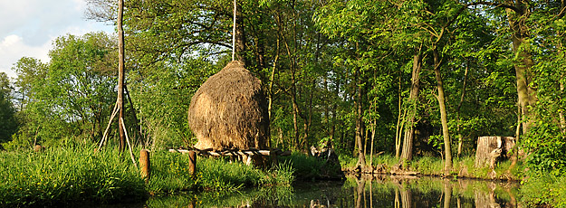 Heuschober im Spreewald